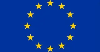 নির্বাচন প্রস্তুতি, প্রশিক্ষণ ও সক্ষমতা উন্নয়নে আনসার-ভিডিপির সঙ্গে ইইউ’র  বৈঠক